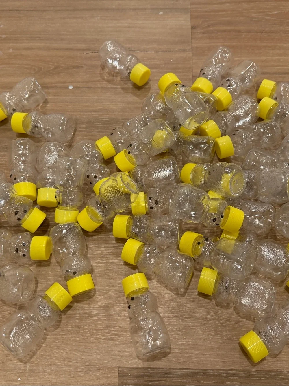 Set of 46 clear empty bears with lids